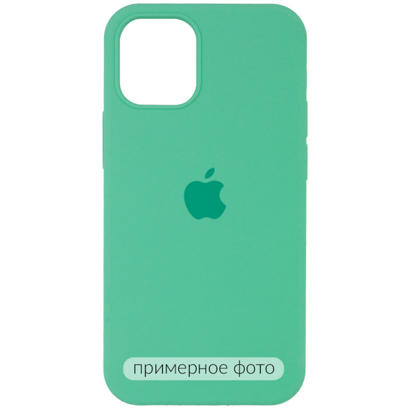 Чехол Silicone Case Full Protective (AA) для Apple iPhone 16 Pro (6.3") (Зеленый / Spearmint)