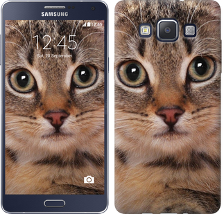 

Чохол Смугастий котик на Samsung Galaxy A5 A500H 175529