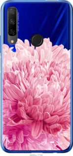 

Чохол Хризантема на Huawei Honor 9X 844548
