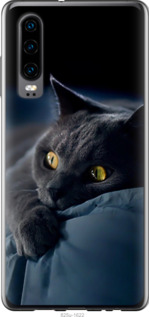 Чехол Дымчатый кот для Oppo Reno 3 Pro