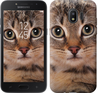 

Чехол Полосатый котик для Samsung Galaxy J2 2018 655411