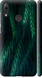 

Чохол Колоски для Huawei Y7 (2019) 942408