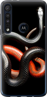

Чехол Красно-черная змея на черном фоне для Motorola One Macro 1685287