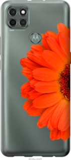 

Чехол Гербера 1 для Motorola G9 Power 1589627