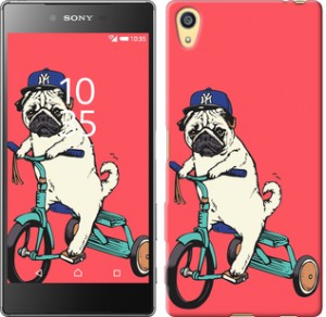 Чехол Мопс на велосипеде для Sony Xperia Z5 E6633