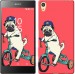 Чехол Мопс на велосипеде для Sony Xperia Z5 E6633