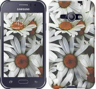 

Чохол Ромашки v2 на Samsung Galaxy J1 Ace J110H 127131