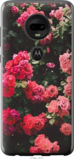 

Чехол Куст с розами для Motorola Moto G7 Plus 702563