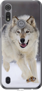 

Чохол Вовк що біжить на Motorola E6i 1588076