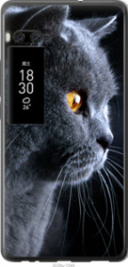 Чехол Красивый кот для Meizu Pro 7