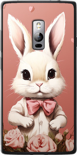 

Чохол Зайчик на OnePlus 2 1650153