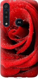 

Чохол Червона троянда на Motorola One Macro 1574227