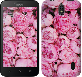 

Чехол Пионы v3 для Huawei Ascend Y625 380966