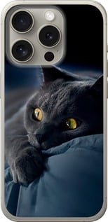 Чехол Дымчатый кот для iPhone 15 Pro