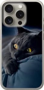 Чехол Дымчатый кот для iPhone 15 Pro