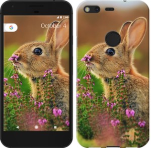 Чехол Кролик и цветы для Google Pixel