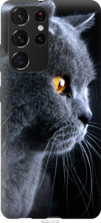 

Чехол Красивый кот для Samsung Galaxy S21 Ultra 1141831