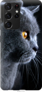 Чохол Гарний кіт на Samsung Galaxy S21 Ultra