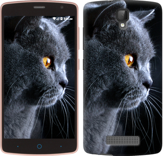 

Чохол Гарний кіт на ZTE L5 242685