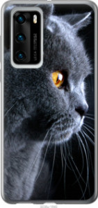 Чехол Красивый кот для Huawei P40