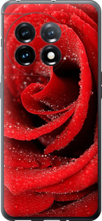 Чохол Червона троянда на OnePlus 11