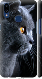 Чехол Красивый кот для Samsung Galaxy A10s A107F