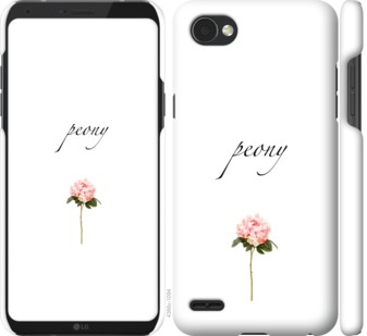 

Чехол Пион для LG Q6 754450