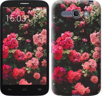 

Чохол Кущ з трояндами на Alcatel One Touch POP C9 658272