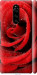 Чехол Красная роза для Sony Xperia XZ4