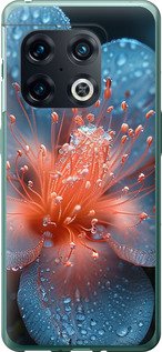 Чехол Роса на цветке для OnePlus 10 Pro