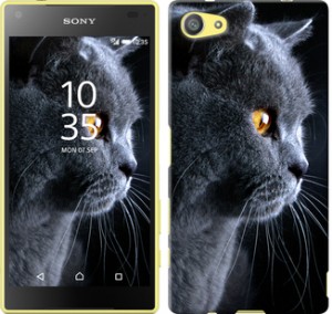 Чехол Красивый кот для Sony Xperia Z5 Compact E5823