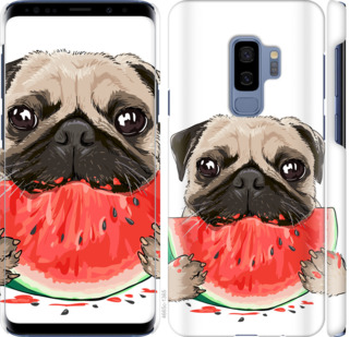 

Чехол Мопс и арбуз для Samsung Galaxy S9 Plus 843392