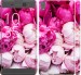 Чехол Розовые пионы для Sony Xperia XA F3112