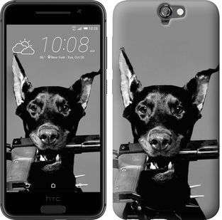 

Чохол Доберман на HTC One A9 122765