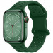 Ремешок Hoco WA16 Flexible series Apple watch (38/40/41mm) (Alfalfa)