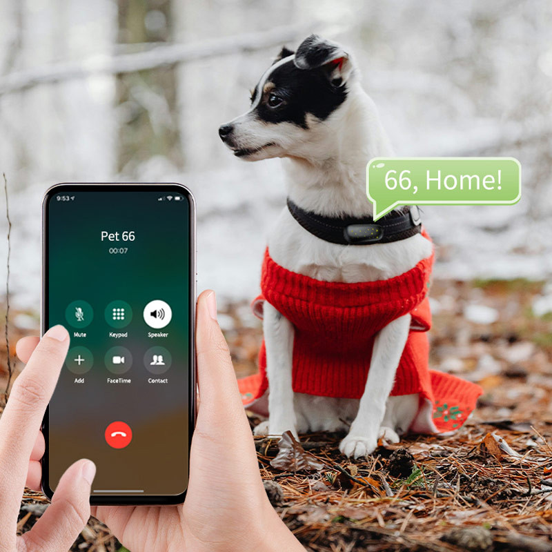 Трекер GPS для животных V53 Pet Tracker SIM (4GLTE) 900mAh (Black) в магазине vchehle.ua