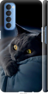Чохол Димчастий кіт на Oppo Reno 4 Pro
