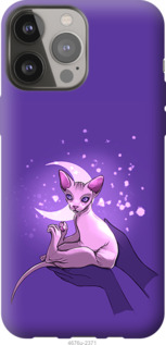 

Чехол Кот2 для iPhone 13 Pro Max 1567710