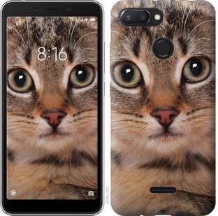 

Чехол Полосатый котик для Xiaomi Redmi 6 675821
