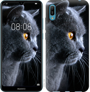 

Чехол Красивый кот для Huawei Y6 2019 709799