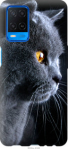 Чохол Гарний кіт на Oppo A54