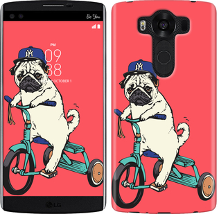 

Чохол Мопс на велосипеді на LG V10 H962 87683