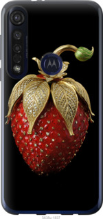 

Чохол Полуниця v3 на Motorola G8 Plus 1579302
