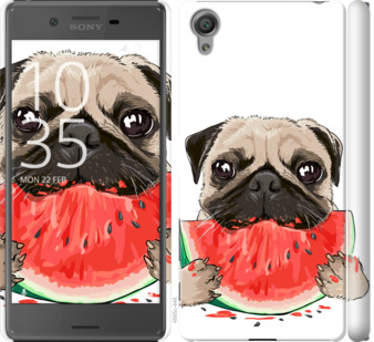 

Чехол Мопс и арбуз для Sony Xperia X F5122 843667