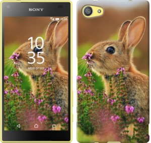 Чохол Кролик і квіти на Sony Xperia Z5 Compact E5823
