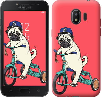 

Чохол Мопс на велосипеді на Samsung Galaxy J2 2018 642783