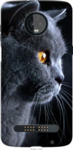 Чехол Красивый кот для Motorola Moto Z3