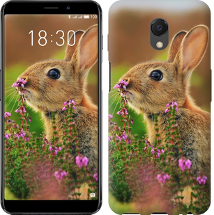

Чехол Кролик и цветы для Meizu M6s 656657
