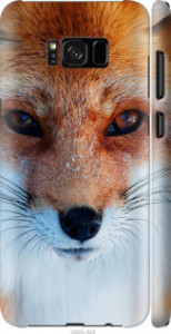 Чехол Рыжая лисица для Samsung Galaxy S8