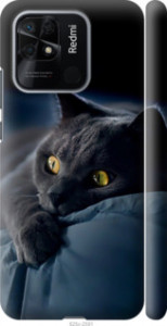 Чехол Дымчатый кот для Xiaomi Redmi 10C